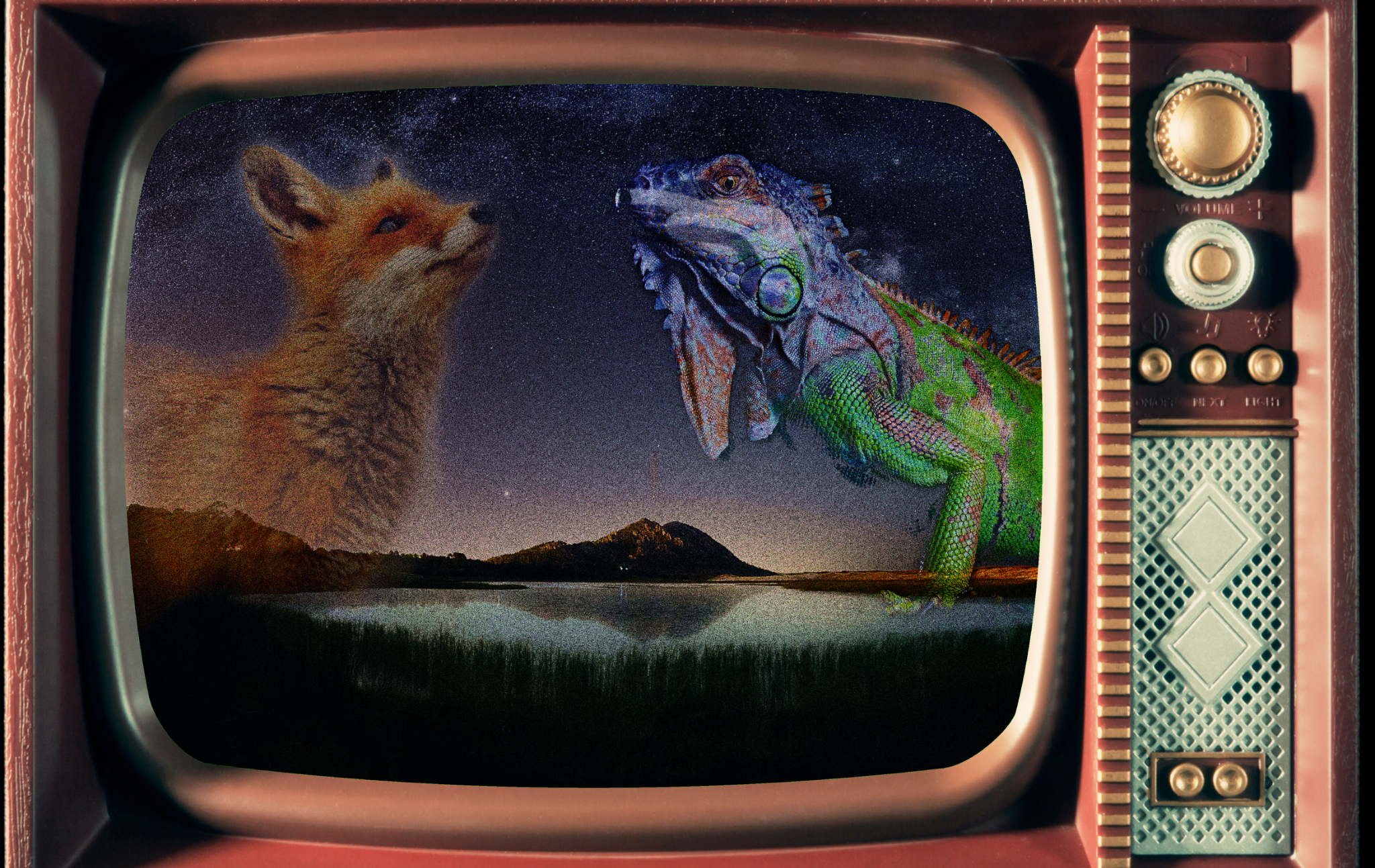 Beasts on the Broadcast